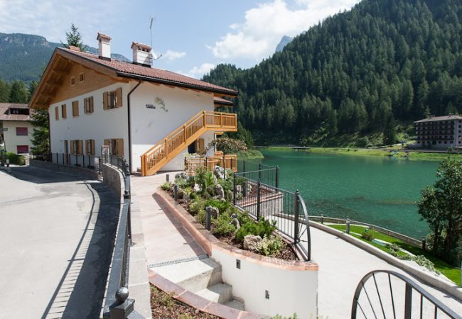 Appartamento a Alleghe - Villa Edelweiss Botton d'oro Appartamento a Alleghe - Villa Edelweiss Botton d'oro