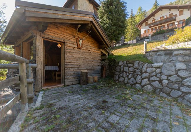 Appartamento a Alleghe - Villa Edelweiss Botton d'oro Appartamento a Alleghe - Villa Edelweiss Botton d'oro