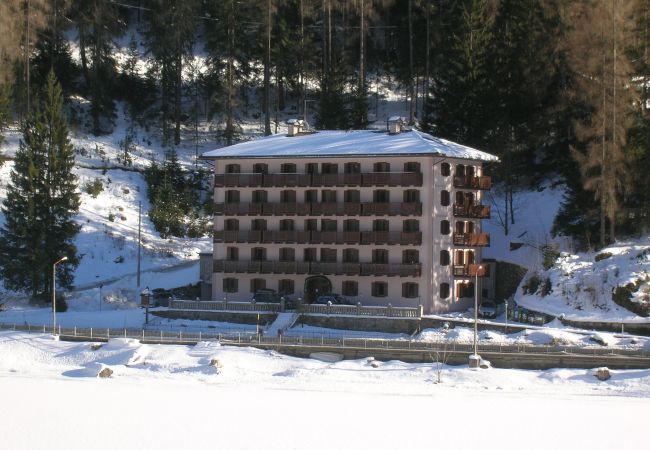 Appartamento a Alleghe - Regina 17 Appartamento a Alleghe - Regina 17