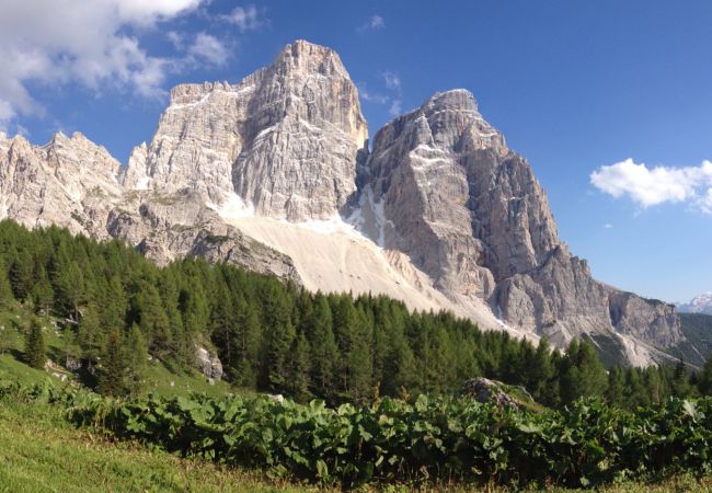 Appartamento a Rocca Pietore - Casa al Moro 6 Appartamento a Rocca Pietore - Casa al Moro 6