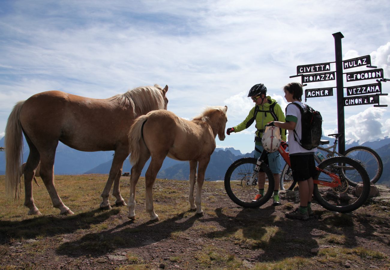 Appartamento a Alleghe - Appartamento Alessia Appartamento a Alleghe - Appartamento Alessia