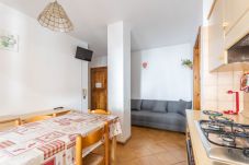 Appartamento a Falcade - Casa Falcade  3