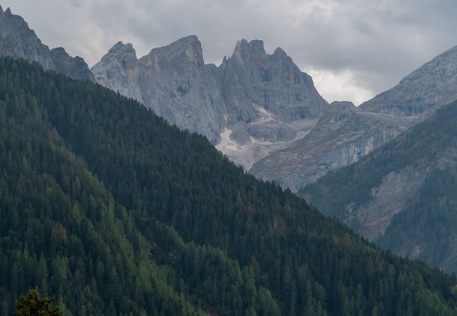 Appartamento a Falcade - Villa Licia trilo Appartamento a Falcade - Villa Licia trilo