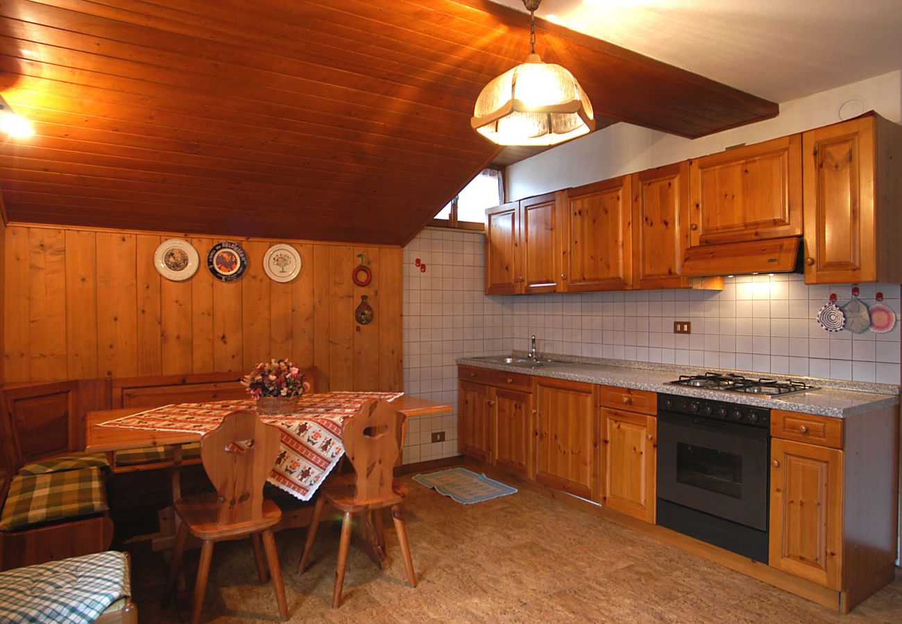 Appartamento a Falcade - Casa De Biasio PM