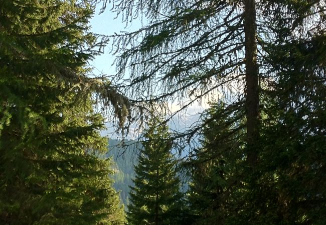 Studio a Alleghe - Appartamento San Marco 1 Studio a Alleghe - Appartamento San Marco 1