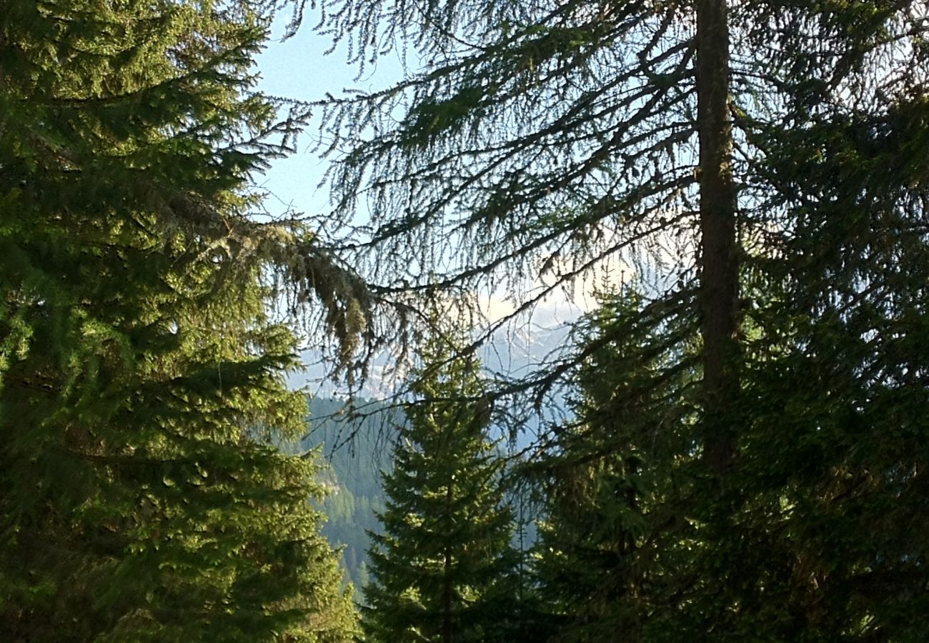 Studio a Alleghe - Appartamento San Marco 1 Studio a Alleghe - Appartamento San Marco 1