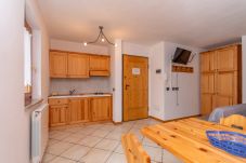 Studio a Falcade - Casa Stella 1
