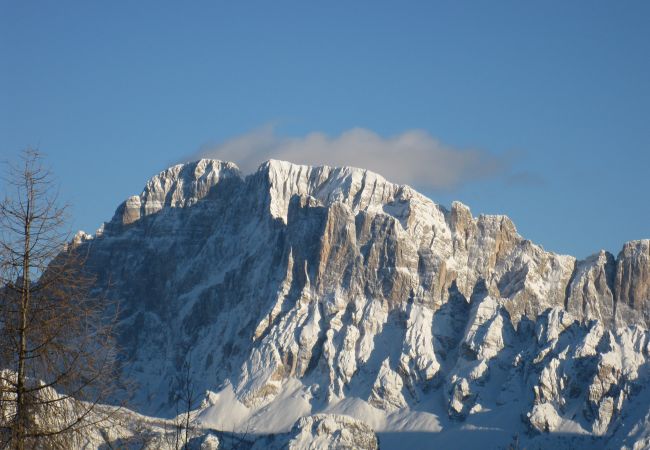 Appartamento a Alleghe - Regina 6 Appartamento a Alleghe - Regina 6