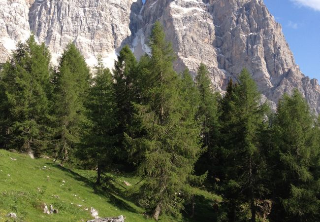Appartamento a Alleghe - Regina 6 Appartamento a Alleghe - Regina 6