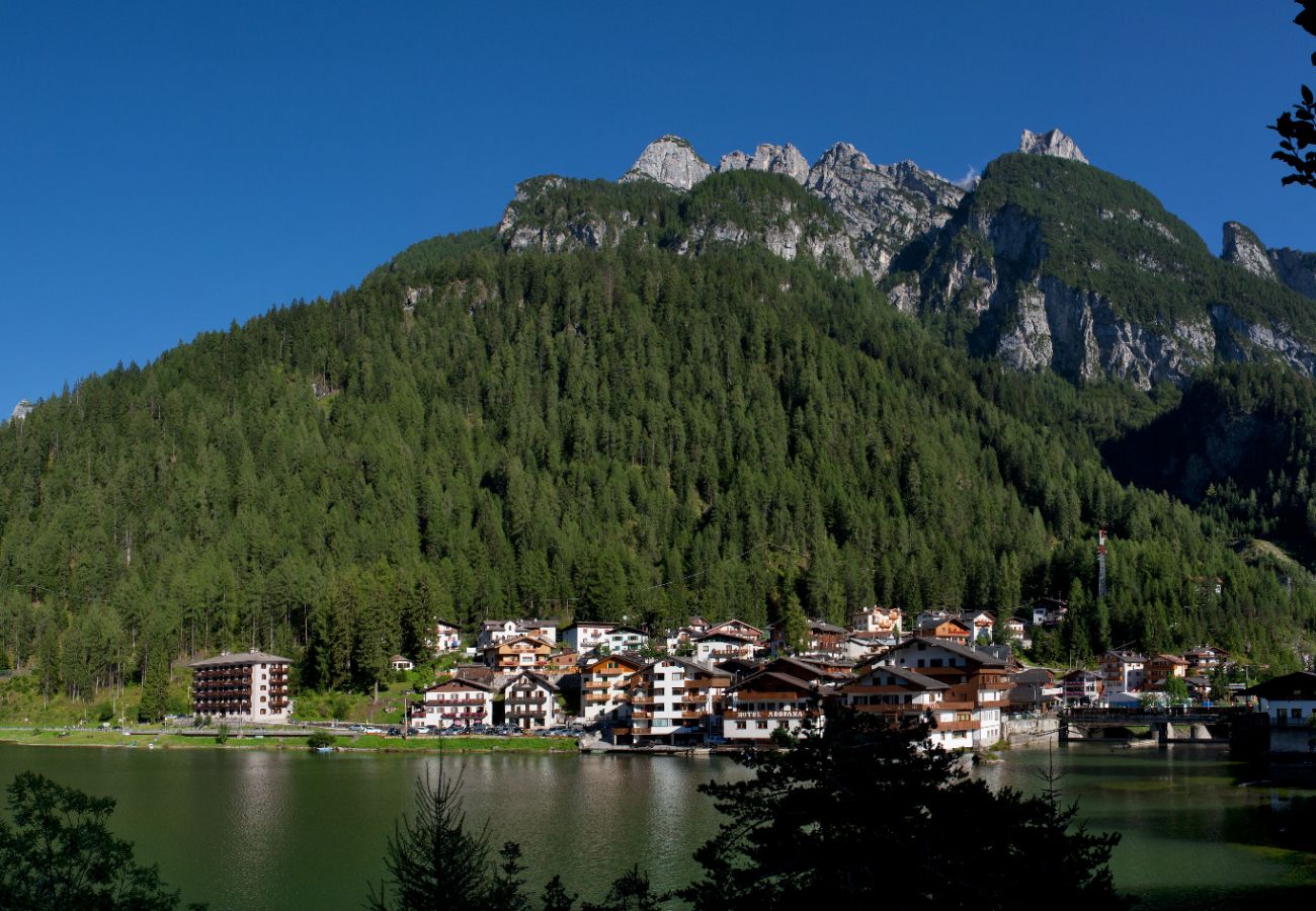 Appartamento a Alleghe - Regina 11