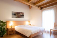 Appartamento a Alleghe - Regina 20