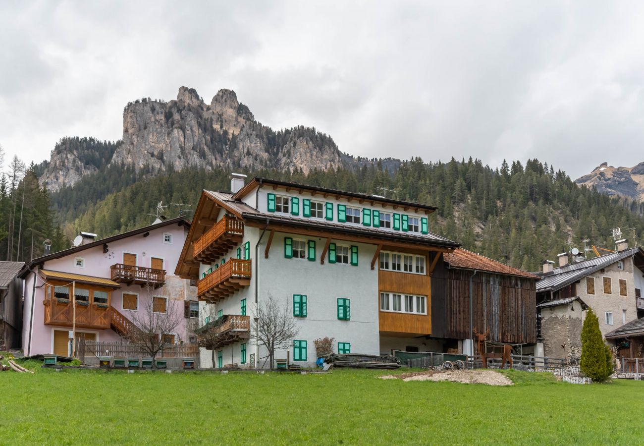 Appartamento a Mazzin - Chalet Butterfly 2 Appartamento a Mazzin - Chalet Butterfly 2