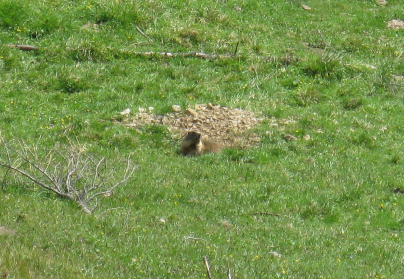 Appartamento a Alleghe - Chalet Laura Appartamento a Alleghe - Chalet Laura