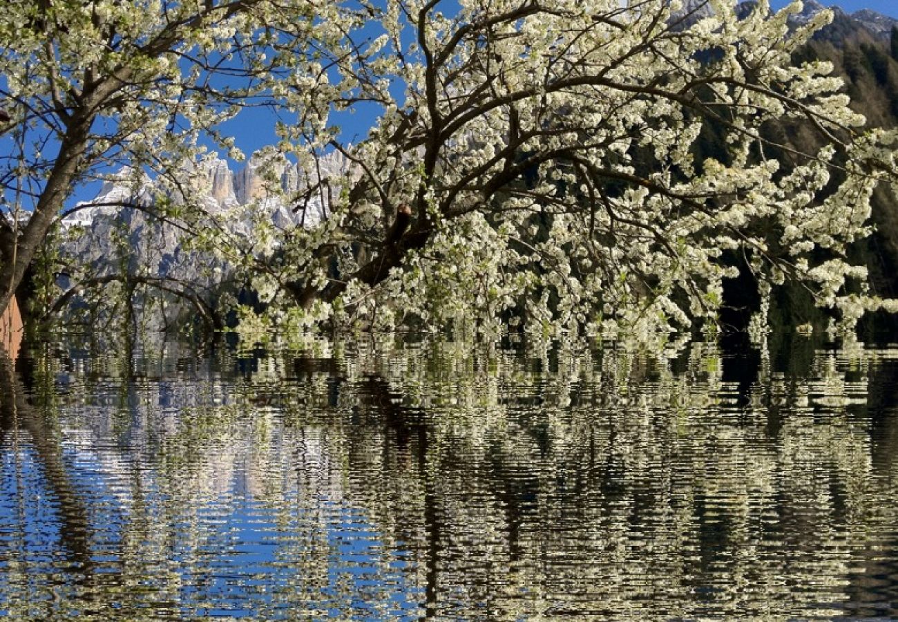 Appartamento a Alleghe - Chalet Laura Appartamento a Alleghe - Chalet Laura