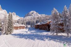 Studio a Selva di Cadore - Petit Arnica