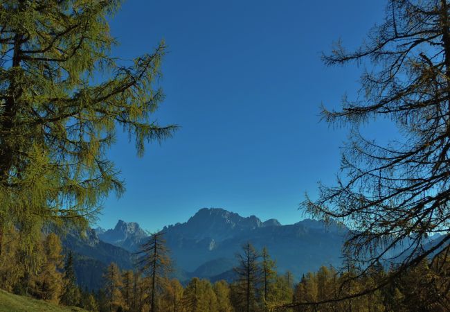 Appartamento a Rocca Pietore - La Casa di Carlotta Appartamento a Rocca Pietore - La Casa di Carlotta