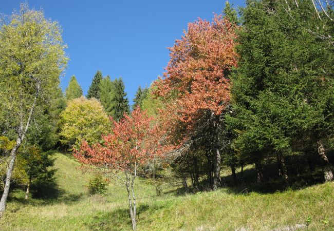 Appartamento a Rocca Pietore - La Casa di Carlotta Appartamento a Rocca Pietore - La Casa di Carlotta