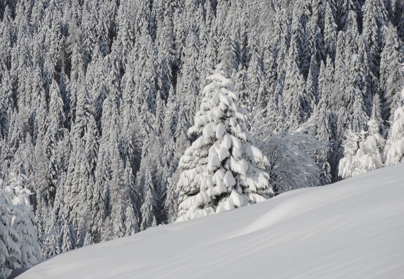 Appartamento a Rocca Pietore - La Casa di Carlotta Appartamento a Rocca Pietore - La Casa di Carlotta