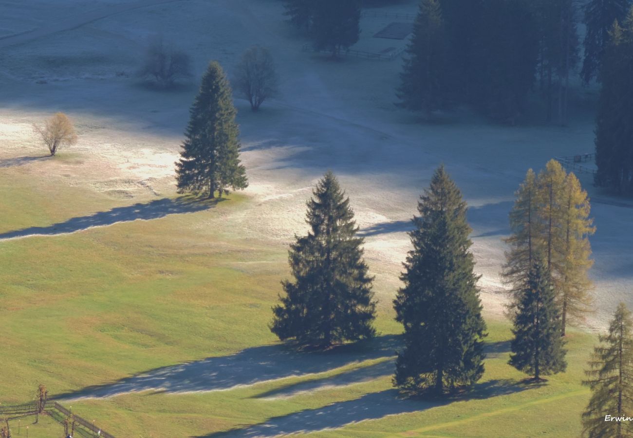 Appartamento a Rocca Pietore - La Casa di Carlotta Appartamento a Rocca Pietore - La Casa di Carlotta