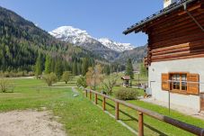 Appartamento a Falcade - Tabià Maredane