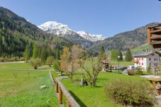 Appartamento a Falcade - Tabià Maredane