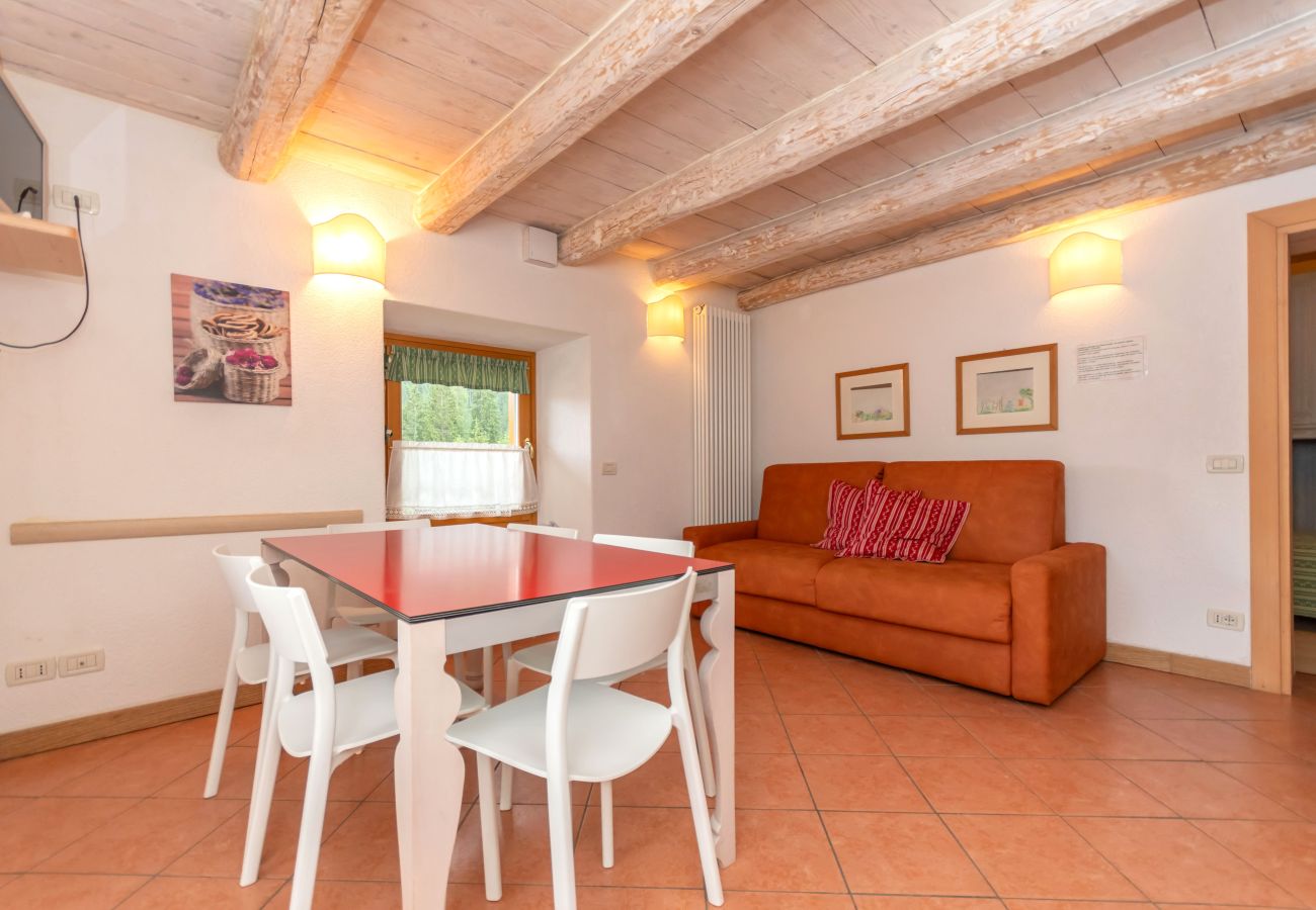 Appartamento a Falcade - Casa Alessandra 3