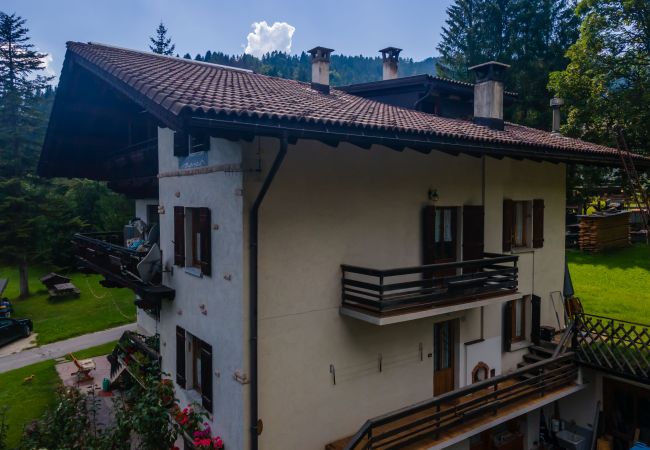 Appartamento a Falcade - Lodge Auta Appartamento a Falcade - Lodge Auta