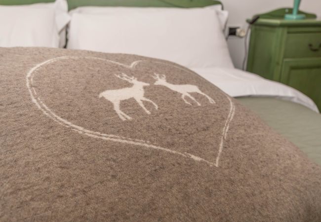 Appartamento a Moena - La dimora di Dante Appartamento a Moena - La dimora di Dante