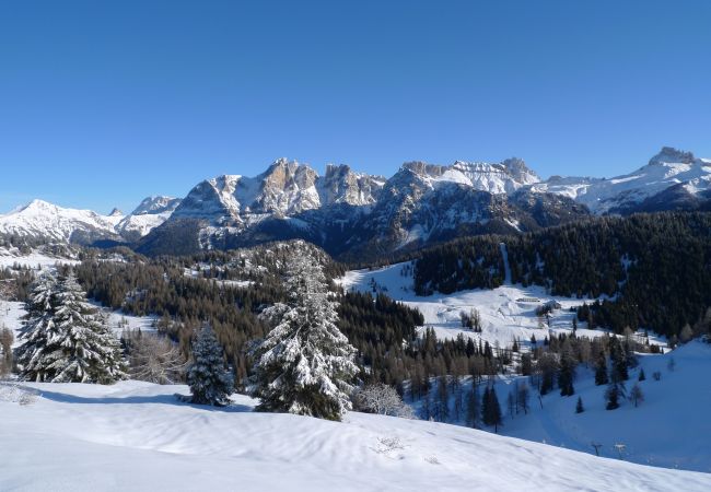 Appartamento a Alleghe - Condominio Le Ginestre P1 Appartamento a Alleghe - Condominio Le Ginestre P1