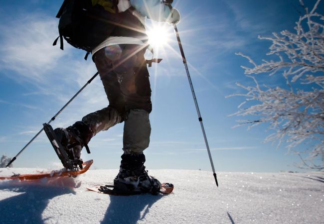 Appartamento a Alleghe - Condominio Le Ginestre P1 Appartamento a Alleghe - Condominio Le Ginestre P1