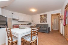 Studio a San Tomaso Agordino - Tabià delle Rose
