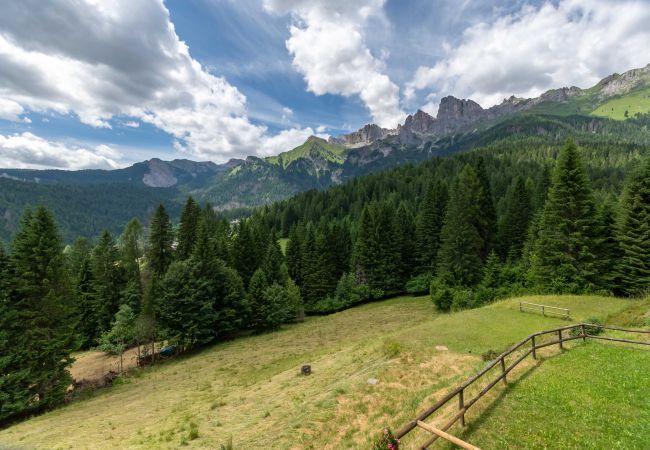 Appartamento a Canale d´Agordo - Suite Tulipano Appartamento a Canale d´Agordo - Suite Tulipano