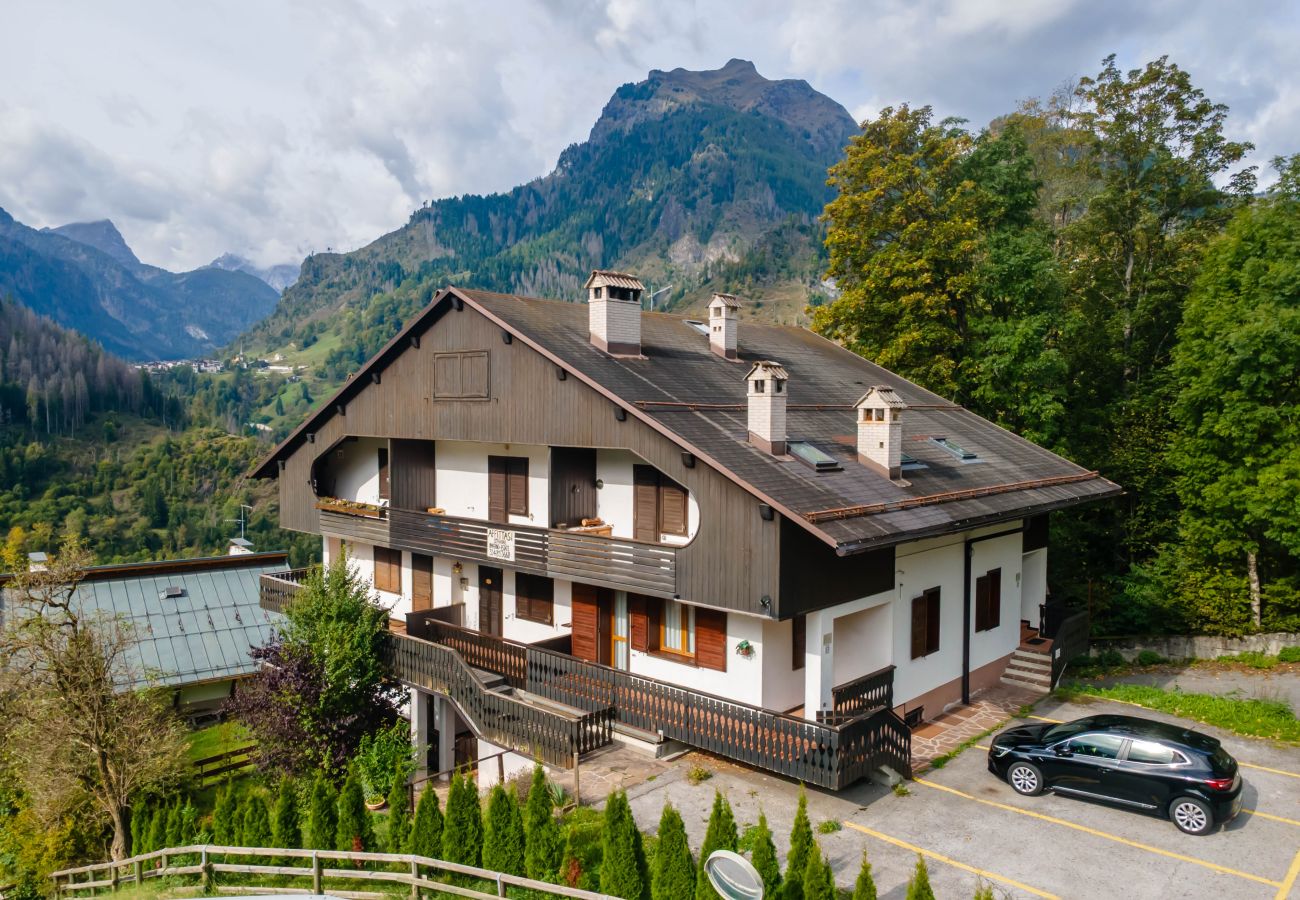 Appartamento a Alleghe - Condominio Le Ginestre PT