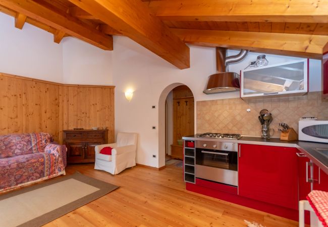 Appartamento a Selva di Cadore - El Feral - Mansarda