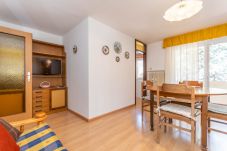 Appartamento a Predazzo - Casa Anna