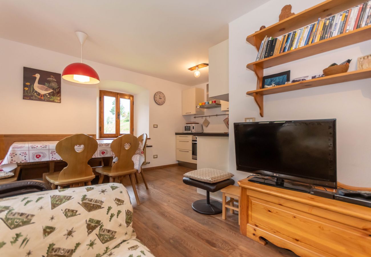 Ferienwohnung in Canale d´Agordo - App. Sant`Antonio - STAGIONE INVERNALE 26-27