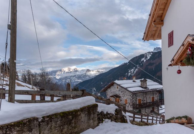 Ferienwohnung in Falcade - Monolocale Ai Ganz - Affitto annuale Ferienwohnung in Falcade - Monolocale Ai Ganz - Affitto annuale