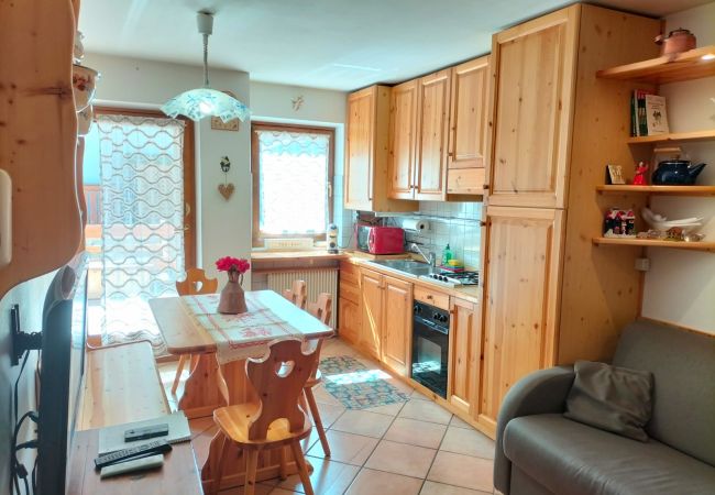 Livinallongo del Col di Lana - Ferienwohnung