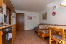 Ferienwohnung in Falcade - Condominio Nigritella 23 | stagione inverno 23/24