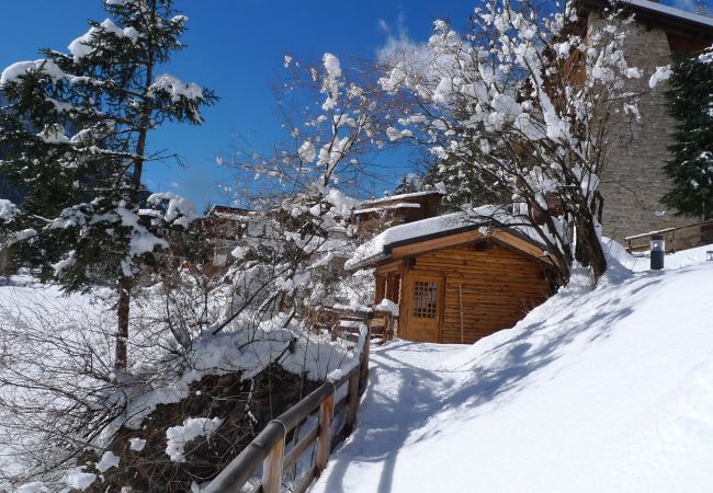 Ferienwohnung in Alleghe - Villa Edelweiss Genziana Ferienwohnung in Alleghe - Villa Edelweiss Genziana
