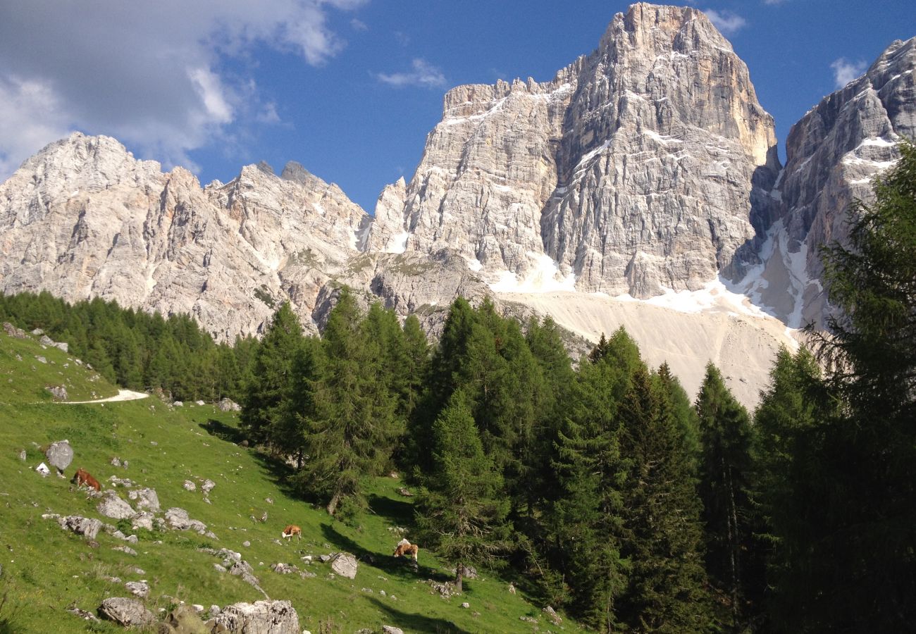 Ferienwohnung in Rocca Pietore - Casa al Moro 1 Ferienwohnung in Rocca Pietore - Casa al Moro 1