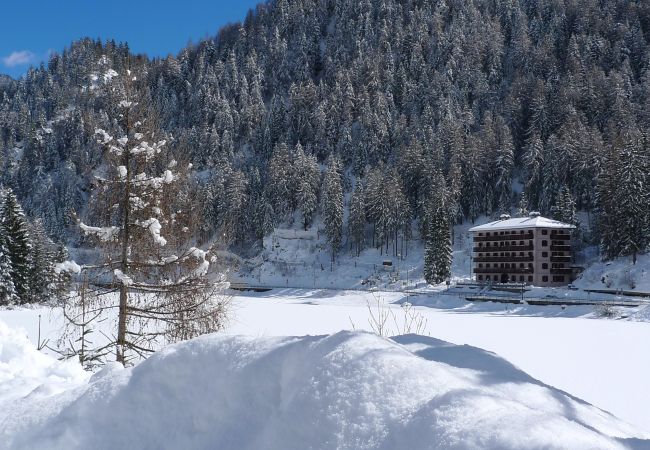 Ferienwohnung in Alleghe - Regina 17 Ferienwohnung in Alleghe - Regina 17
