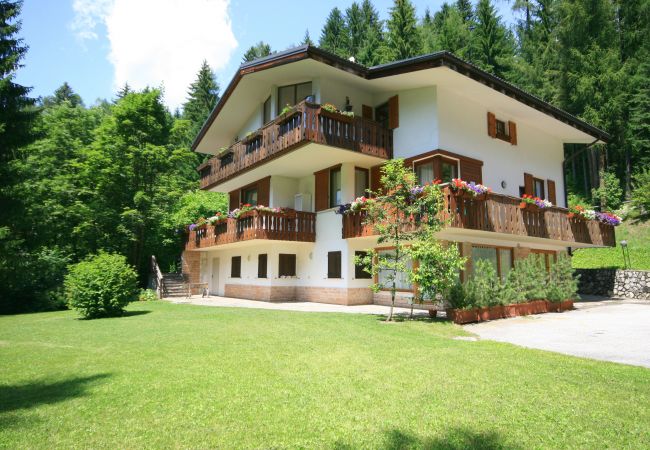 Ferienwohnung in Falcade - Villa Licia bilo Ferienwohnung in Falcade - Villa Licia bilo