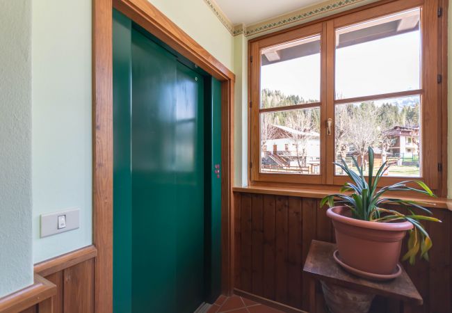 Ferienwohnung in Falcade - Casa Mulaz 2 Ferienwohnung in Falcade - Casa Mulaz 2