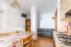 Ferienwohnung in Falcade - Casa Falcade 3