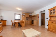 Ferienwohnung in Falcade - Villa Simona P1