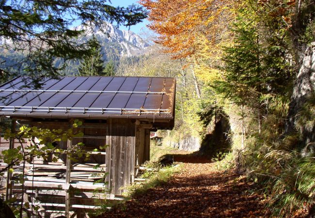 Ferienwohnung in Alleghe - Regina 15 Ferienwohnung in Alleghe - Regina 15