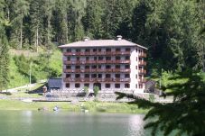 Wohnung in Alleghe - Regina 15
