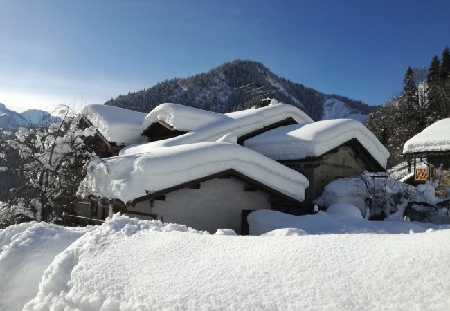 Ferienwohnung in Alleghe - Regina 20 Ferienwohnung in Alleghe - Regina 20