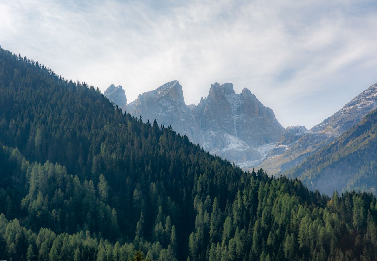 Ferienwohnung in Falcade - Casa Francesco Ferienwohnung in Falcade - Casa Francesco